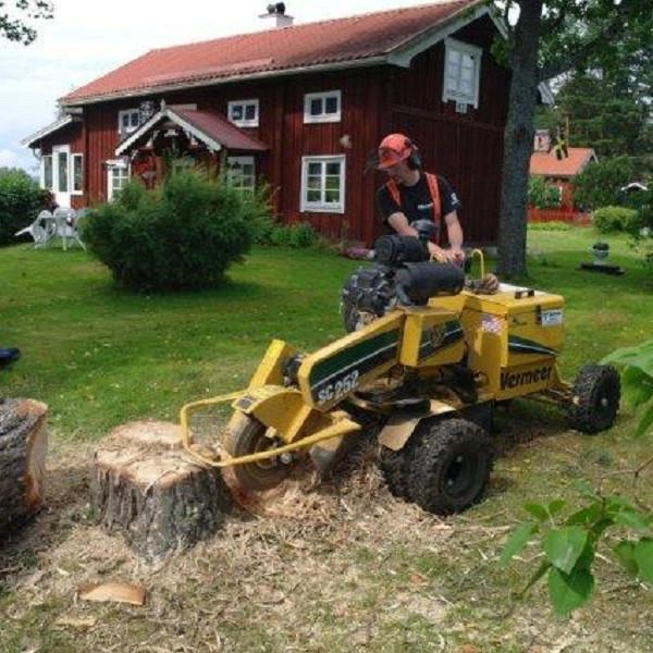 stubbfräsning